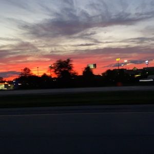 Meet your Posher, Riley